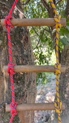 Life secure ladder with two ropes
