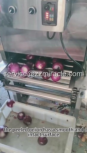 See how the new chain-type onion peeling machine can quickly peel onions! #machine #onionpeel