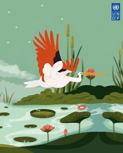 Today is #WorldMigratoryBirdDay! This year highlights the importance of creating more bird-friendly cities and communities. Through good city planning, creating healthy habitats, reducing pollution and preventing collisions with glass and other objects, everyone can take action. | United Nations Development Programme - UNDP