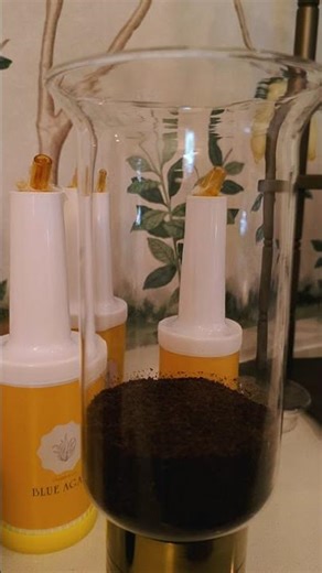 This Is Not Just Coffee… It’s an Experience 🔥 #coffee #mochacoffee #clubcafe #coffeestop