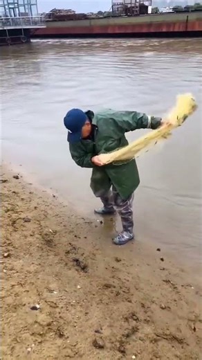 How cast net fishing is done in the river #fishing #technique #castnet