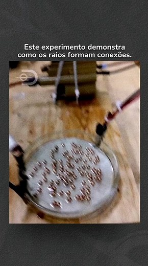 352 reactions · 3 comments | ⚡O experimento mostra um punhado de...