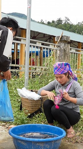 Catch fish, trap fish, harvest giant fish pond to sell - cook fish for little daughter to eat #ChuCThiDuong #single mother #harvest #farmbuilding | Collection