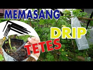 HOW TO INSTALL DRIP IRRIGATION FOR PLANTS