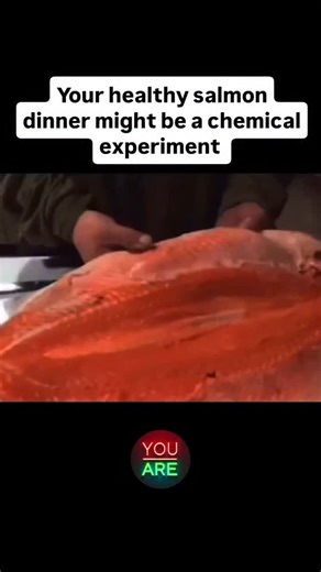 Daniel McClure on Instagram: "Your healthy salmon dinner might be a chemical experiment. 🍽️ It looks vibrant, clean, and full of life — but that pink flesh is painted, not pure. Farmed salmon are fed GM soy, seed oils, and fish scraps — nothing like what wild salmon eat. Without real nutrients, their flesh turns grey. So factories use petroleum-based dyes to fake that “fresh pink” glow. Behind the label “Atlantic salmon” hides a toxic mix of PCBs, dioxins, and deception. You’re not buying food 