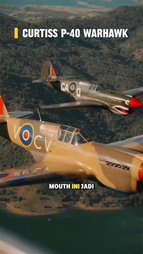 Curtiss P-40 Warhawk: Shark Mouth Paling Ikonik di Langit Perang Dunia II