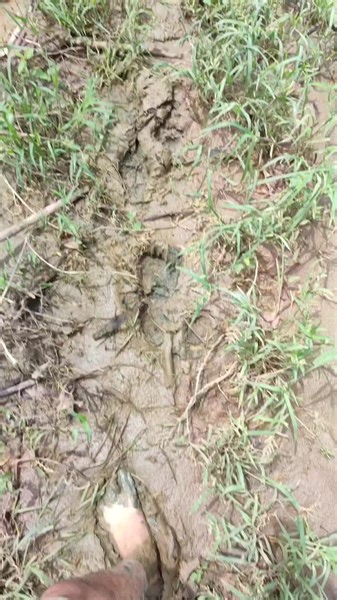 21K views · 326 reactions | Bakit nga ba kailangan ng Geodetic Engineer? Sasagutin natin yan. Contact: 09175747854 #GeodeticEngineer #IloiloSurveying #RelocationSurvey #SubdividionSurvey #CubingSurveying #landsurvey #landsurveyor #landsurveying #LicensedGeodeticEngineer #iloilo | Cubing Surveying | Facebook