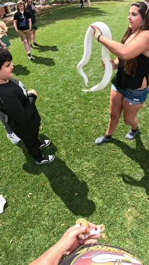 #python #ballpython #snake #snakes | snake