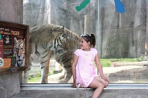 Visiting Milwaukee Zoo with Kids? Here is What you Need to Know!
