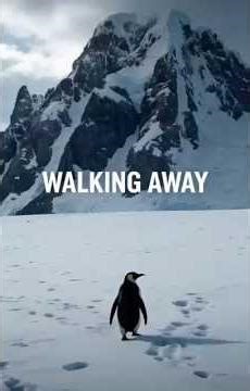 The Penguin Who Walked Away