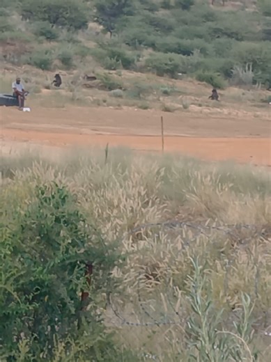 Exploring Namibia's Wildlife on Monkey Business