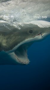 736K views · 8.8K reactions | The Jaws shark wasn’t just a special effect—on set, he was known as Bruce, and had a story as fascinating as the film itself. Jaws @ 50: The Definitive Inside Story is now streaming on Disney+ and Hulu. | National Geographic TV | Facebook