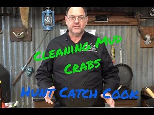 How to clean Mud Crabs