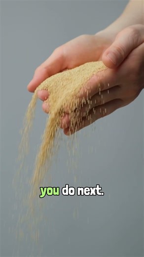 The Sunk Cost Fallacy