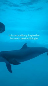 For decades, our dolphins have inspired future marine biologists to dive into their dreams, and we’re proud to be part of their stories. 🐬💙 Celebrate Dolphin Awareness Month with us! Swing by our Underwater Dolphin Room this weekend to meet Liko, Schooner, Merlin, and Shadow. They're ready to welcome you to the aquarium! 🦈 Aquarium: Open daily from 10:00 a.m. to 5:00 p.m. 💦 H-E-B Splash Park: Saturdays and Sundays, 11:00 a.m. to 5:00 p.m.* *Water shuts off 15 minutes before closing. Don’t mi