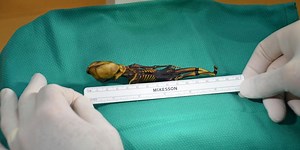 Mystery of 'Alien Skeleton' Solved