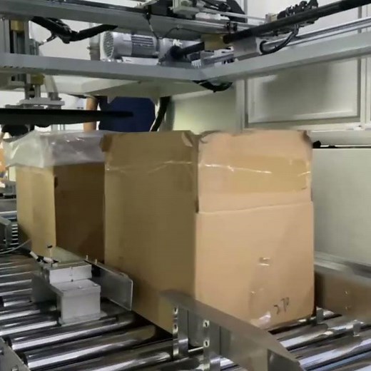 Bagging Machine Full Workflow | Automatic Packaging Line