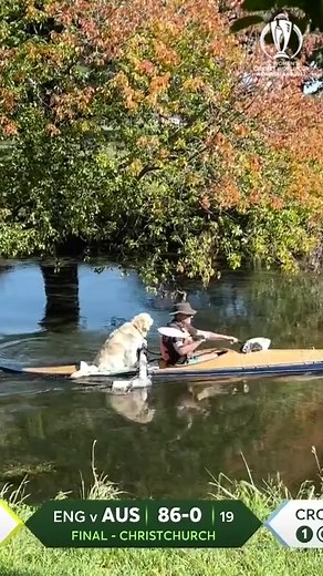 35K views · 350 reactions | That :dog: is living its best life! #CWC22 | ICC Cricket World Cup | Facebook