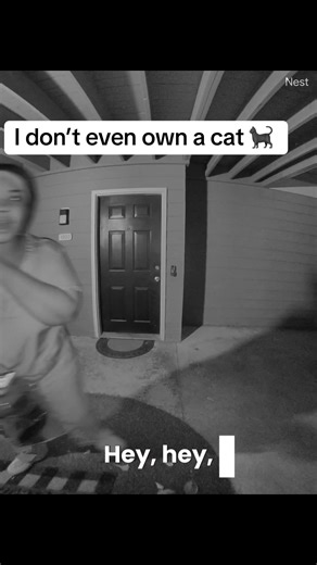 “When you just wanna drop something off… then this happens 😹💀”#f#fypv#viralvideosu#unexpectedf#funnyanimalstiktokpets