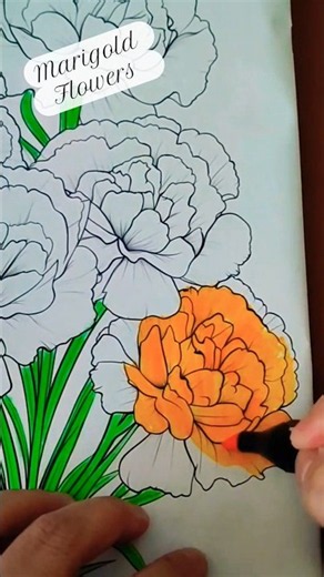 Let's Color the Marigold Flowers 🌼🖌️🎨 Color with Me #coloring #adultcoloring #flowers #drawing #art