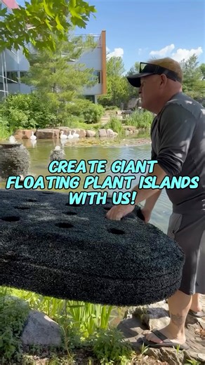 365K views · 10K reactions | Wait until the end for the reveal!  We are turning Aquascape Pond Shop into a tropical paradise! #plants #pond #garden #watergarden #island #cool #fun #aquaticplants #water #team #outdoors #nature Greg Wittstock the Pond Guy Ed Beaulieu The Pond Professor | Team Aquascape | Facebook