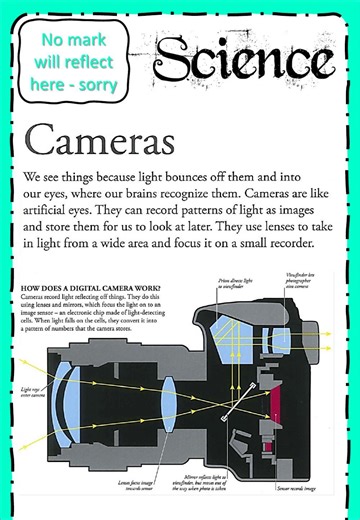 Week 18 - Science - Camera worksheet