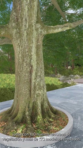 Photogrammetry trees in Lumion Pro
