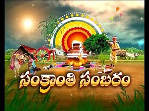 Etv Special Story on Sankranthi festival Celebrations in Telugu States