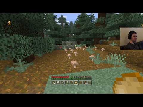 Jujutsu Kaisen, Stardew Valley, Spiritfarer. get dye and farm.