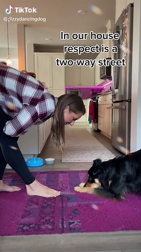 What do you think? #dogtricks #dogtrainingtricks #dogmom #dogmomaf #dogtraining
