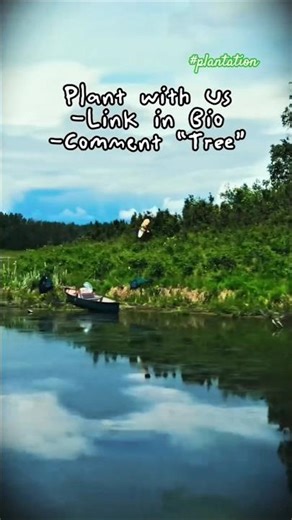 Mission: Focuses on restoring areas affected by wildfires and fostering biodiversity#treeplantation