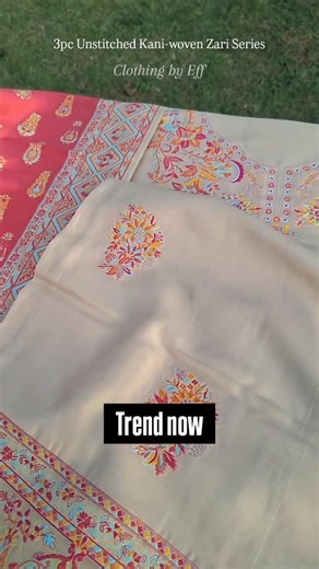 Kashmiri art on Instagram: "Pakistani slik suit"