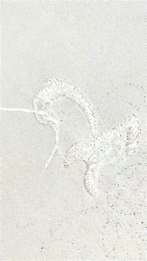 Stunning white embroidery mix stitches technique #embroidery #handcraft #trending