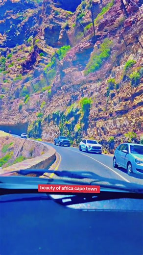 Discover the Beauty of Africa in Cape Town