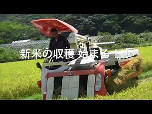 ７月 新米稲刈り