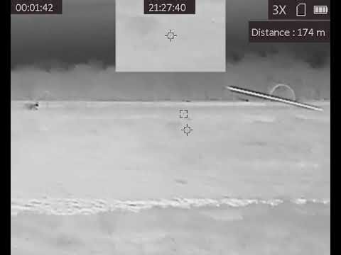 AGM Varmint ts35-384 Coyote hunting