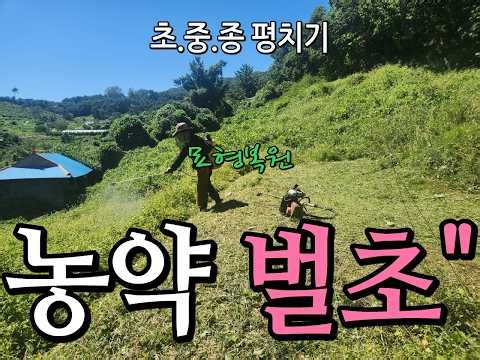 묘지관리형 벌초(묘형복원,묘지농약2종,묘지정화)