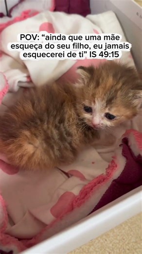 Ainda que uma mãe esqueça do seu filho, eu jamais esquecerei de ti