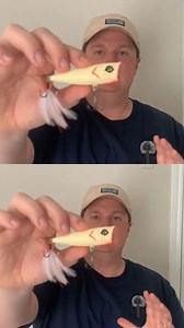 What Is The Best Topwater Lure For Catching Bass?