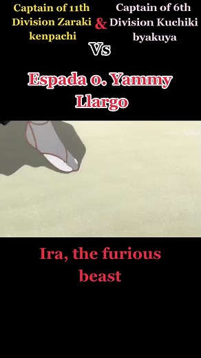 Bleach: Battle of Espada 0 vs Gotei 13 Captains