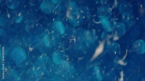 Feathers Fall footage on bokeh fashion texture wall background for different projects. Use (screen) blending mode in any animation or editing software and get a beautiful results.