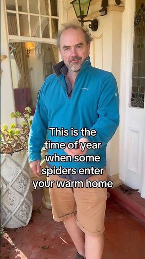 How to keep spiders out of your house! It’s spider season! Use conkers to keep spiders outside