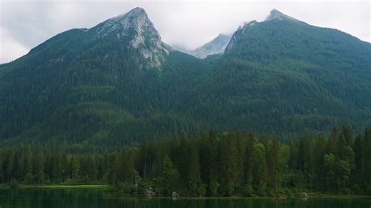 Alpine Forest and Mountains of Germany in 4K