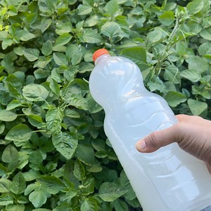 25K views · 72 reactions | Best homemade weed killer, it feels like magic! | Home Recipes | Facebook