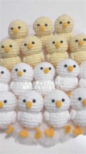 ぎゅうぎゅうに並んでもらいました！！ #あみぐるみ #ハンドメイド #編み物 #crochet