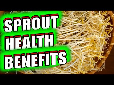 6 Amazing Ways Sprouts Benefit Your Health in a Positive Way