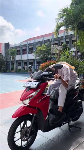 Exploring Musang: Characteristics and Habitats