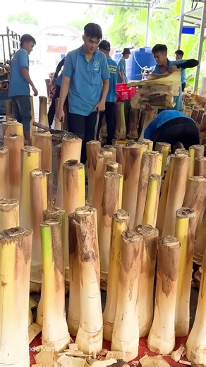 Exploring the Legacy of Charlie Chaplin: The Little Tramp