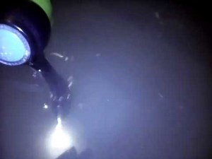 Nano-Micro Bubble generator O2 dengan mesin pompa 125w