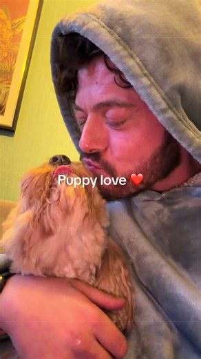 There’s no better feeling than your partners dogs accepting you 🥹❤️ I’m a dog dad noo @Cal 🥰 #cockapoo #doglove #unconditionallove #dogtok #fifesfinest